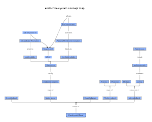 endocrine system concept map example