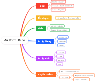 An Córas Díleá (消化系统)