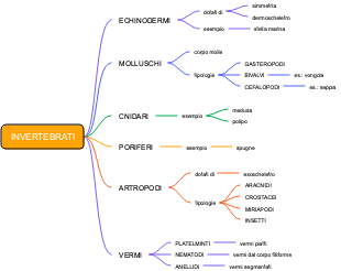 Invertebrati: Classificazione e Caratteristiche