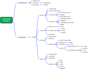 Mappa Mentale della Classificazione degli Esseri Viventi