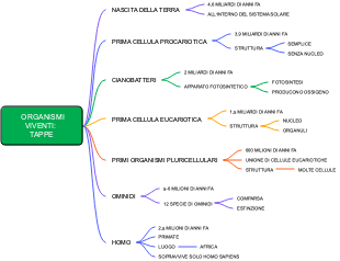 Mappa Mentale delle Tappe dell'Evoluzione degli Esseri Viventi