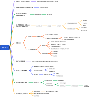Mappa Mentale dei Pesci