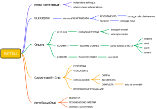 Mappa Mentale dei Rettili