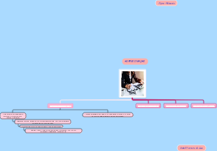 Administração: Estrutura e Funções
