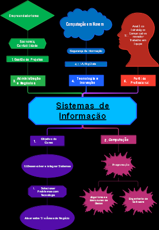 Sistemas de Informação: Conceitos e Aplicações