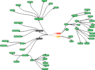 Ecosystem Structure and Components