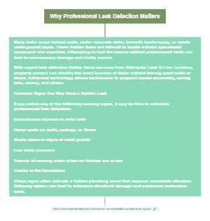 Why Professional Leak Detection Matters