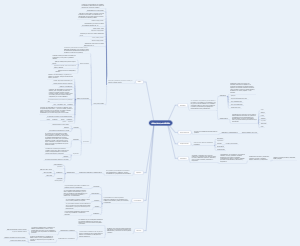 categorias gramaticales