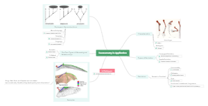 Taxonometry in Application