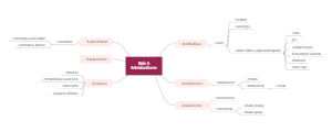 Bab 5 MetabolismeMetabolisme