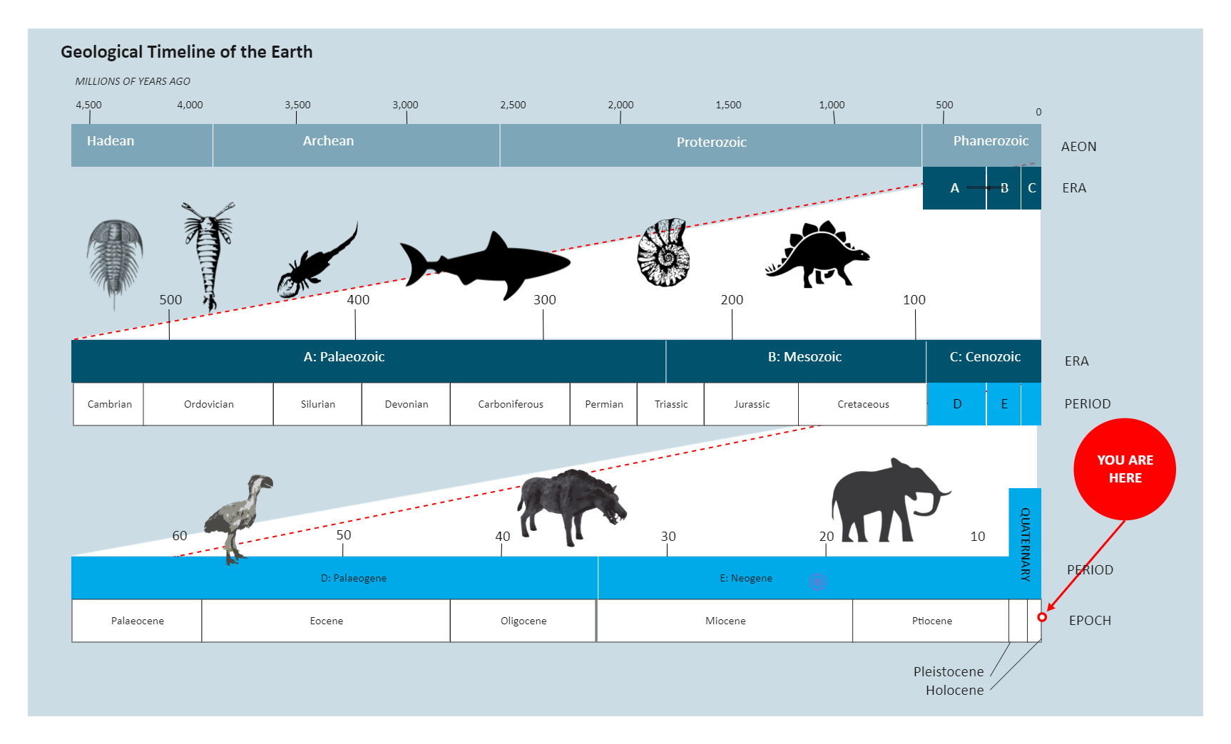 Geological Timeline of the Earth | EdrawMax
