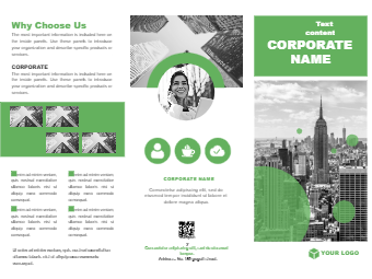 Company Vision Brochure