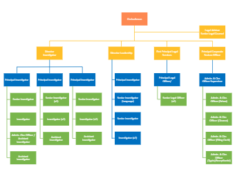 Legal Practitioners Org Chart | EdrawMax Templates