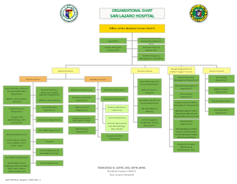 Organizational Chart of San Lazaro Hospital
