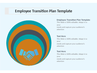 Employee Transition Plan Template