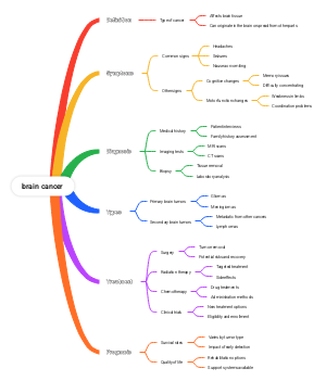 Comprehensive Overview of Brain Cancer