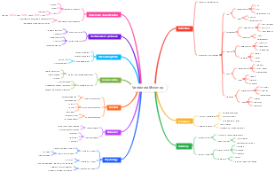 Comprehensive Vertebrate Mindmap