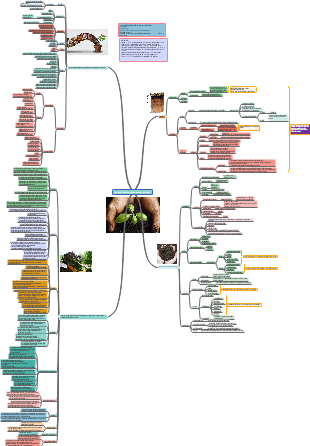 Tecnología de producción de pl