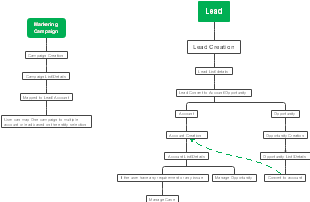 Marketing Campaign and Lead Management Process