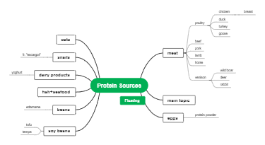 Protein Sources Mind Map