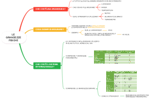 Le Grandezze Fisiche: Definizione, Misurazione e Sistema Internazionale