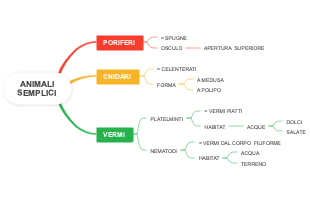 Struttura e Classificazione degli Animali Semplici
