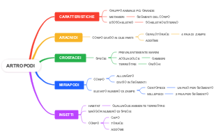 Artropodi: Caratteristiche, Classificazione e Habitat