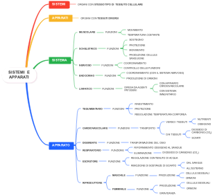 Sistemi e Apparati del Corpo Umano