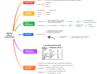Misura delle Grandezze: Concetti e Classificazioni