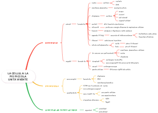 La Cellula: La Più Piccola Unità Vivente