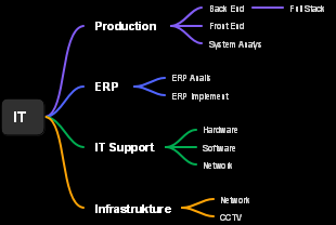 IT Department Structure and Roles