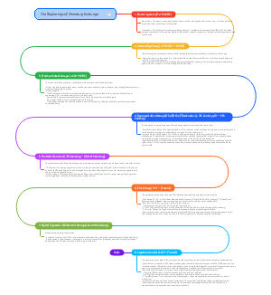 The Evolution of Monetary Exchange Systems