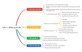 Tuần 1 – Nhiệm vụ chi tiết