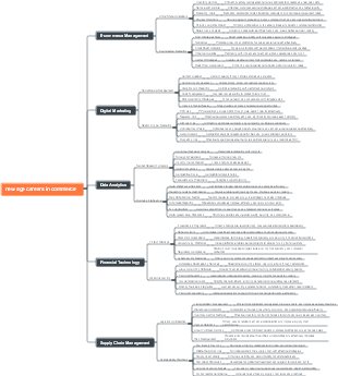New Age Careers in Commerce