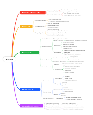 Proteínas: Definición, Estructura, Clasificación y Actividades Clave