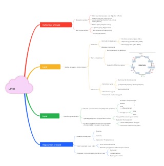 LIPID METABOLISM - Concepts et Processus