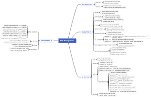Risk Management Mind Map