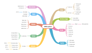 Afrika Qıtası Hakkında Detaylı Bilgi Haritası