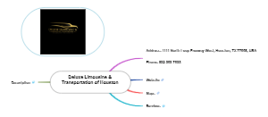 Deluxe Limousine and Transportation of Houston