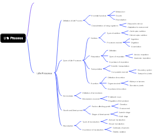 Life Process