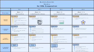 Quarterly Execution Timeline for KOL Cooperation