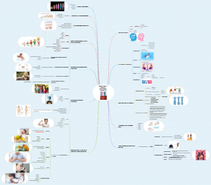 Gender Equity Biological Development and Health