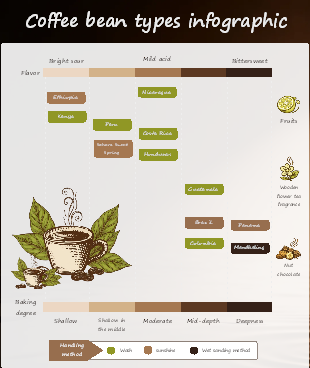 Coffee Bean Types Infographic