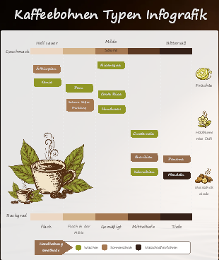 Kaffeebohnen Typen Infografik