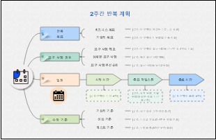 2주간 반복 계획