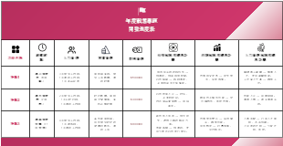 年度戰略項目開發資源與風險管控表