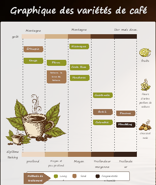 Diagramme Classification Variétés Café Profil Goût Traitement Lavage Soleil Humide