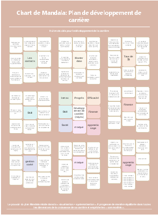 Mandala 8 Axes Plan Développement Carrière Individuel Suivi Action Mensuel