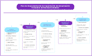 Plan de Implementación de Capacitación de Actualización Trimestral de Normas Contables