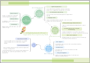Analysis Framework of Flower Appreciation Economy Industry Chain